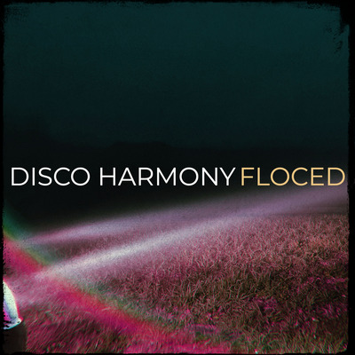 Pochette Disco Harmony de Floced